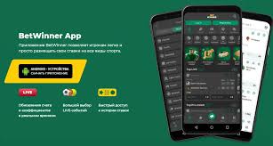 Explore BetWinner CM Platform A Comprehensive Guide Explore BetWinner CM Platform A Comprehensive Guide
