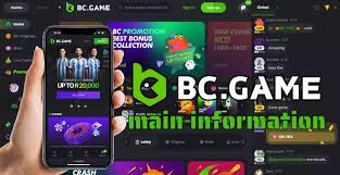 Understanding the BC.Game NG Login Process for a Seamless Experience