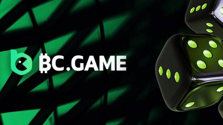 Complete Guide to the BC.Game Registration Process